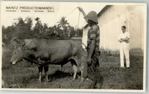 Jakarta Maintz Producthandel