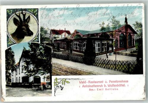 Wolfenbüttel 1910 Waldgasthaus u. Pension Antoinettenruh