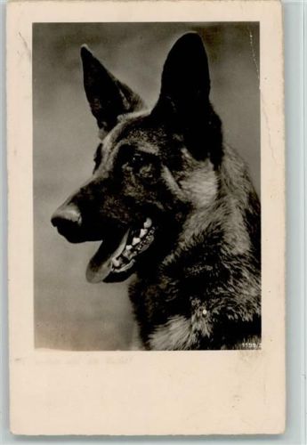 Serie 1199-3 Foto AK