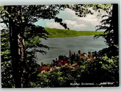 Bodman Adler-Blick