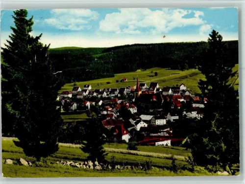 Schonach Blick auf Schonach
