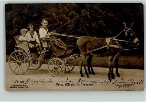 Prinz Wilhelm mit seiner Kutsche vorne ziehen Esel, Photochemie 2080 AK Original-Aufnahme Berger 1908 AK