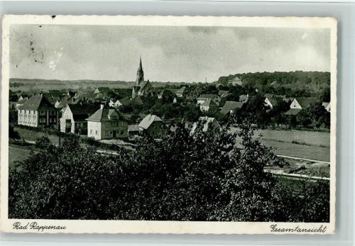 Bad Rappenau Gesamtansicht