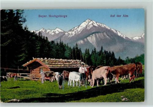Bayr. Hochgebirge - Auf der Alm - Kuhhirte 1929 AK