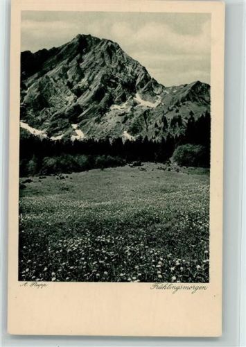 Frühlingsmorgen in den Bergen , blühende Wiesen "Aus dem Heimatbuch !Wälder und Berge