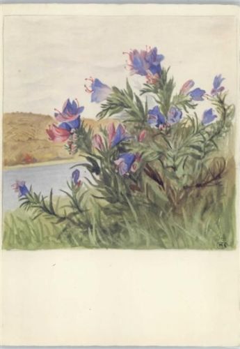 Nr. 5537 Blumen