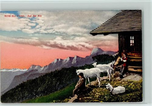auf der Alp mit Bergziegen
