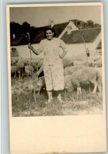 Schäferin Foto ca 1955 AK Berufe