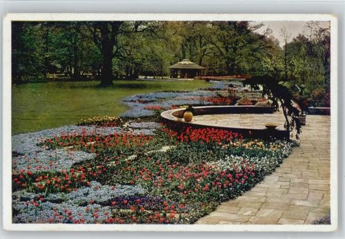 Dresden 1936 offiz. AK Nr. 11 - Eichwiese mit Blumenplan