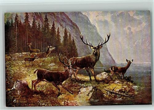 Serie 6981 - Hirsch mit Herde , Jagdtiere