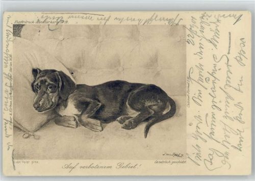 Dackel liegt auf der Couch 1901 Verbotenes Gebiet - Künstler sign Holst