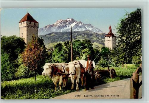 Luzern Musegg und Pilatus Bauer mit Kühen