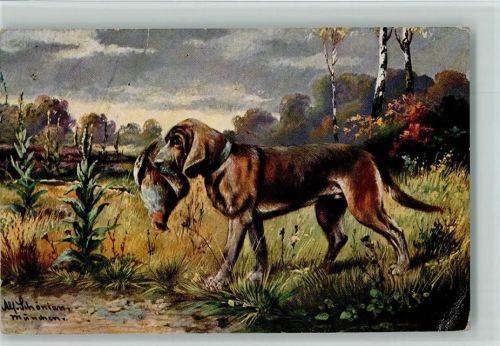 Jagdhund mit Federwild im Maul - Jagdtiere
