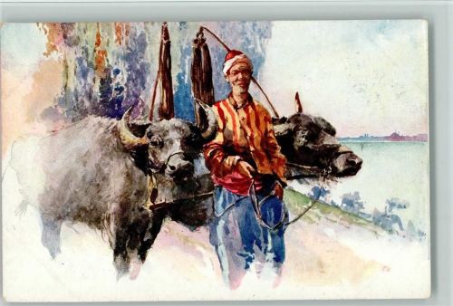 Ochsenkarren - Volkstypen - Paysan Turc - Türkischer Bauer
