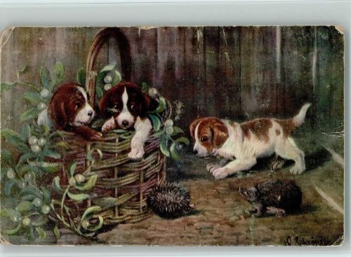 sign W. Schröder - Hundewelpen imd zwei Igel - 2 Eckknicke Igel