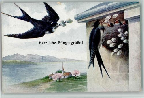 Pfingsten - Schwalben füttern die Jungen 1917 AK