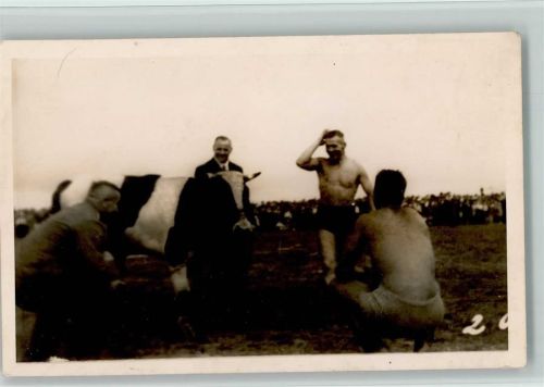 Veranstaltung mit Kühen Foto ca 1934 AK