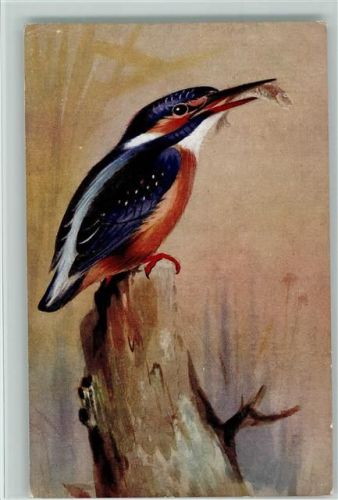 Nr. 2 Eisvogel - sign Roland Green