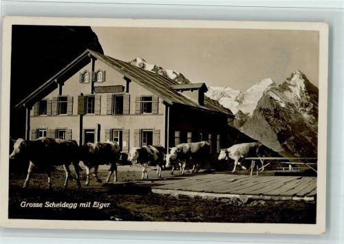 Grosse Scheidegg Eiger