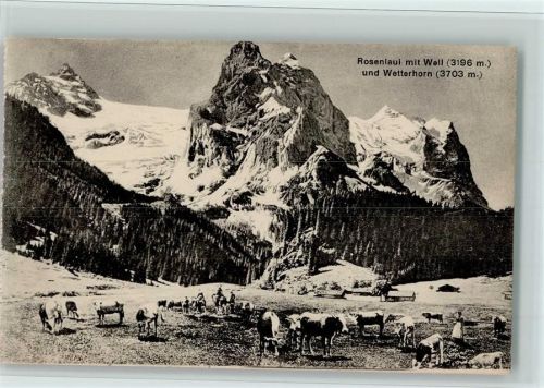 Rosenlaui Well- und Wetterhorn Bauersleute