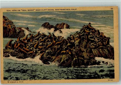 Seehunde auf einer Klippe , "Seal Rocks" Near Cliff House, San Francisco USA Stanley Nr. 96 AK
