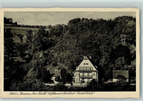 Berlebeck Hotel Pension Zur Forelle , ex Sammlung Busse