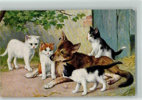 Hund mit 4 kleinen Kätzchen 1936 AK