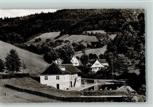 Bad Peterstal Schwimmbad ca 1960 Foto AK