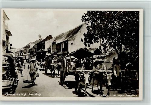Surabaya Chinesische Wyk Ochsenkarren