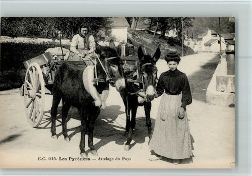1910 Les Pyrenees - Attelage du Pays - Frauen mit Eselkarren AK Good condition