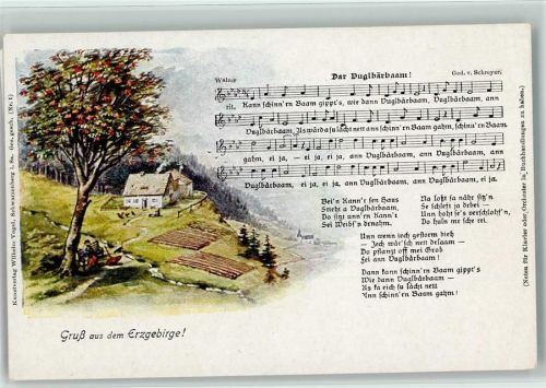 1915 Dar Vuglbärbaum - Verlag Vogel Nr. 1 AK