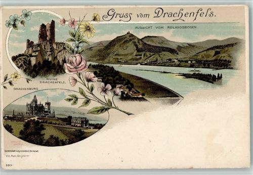 Drachenfels Aussicht vom Rolandsbogen Ruine Drachenfels Drachenburg Blumen 3-Bildaufnahme