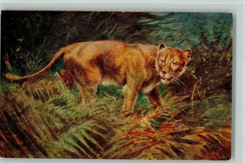 Tucks AK Serie Wild animals Nr. 8785 AK