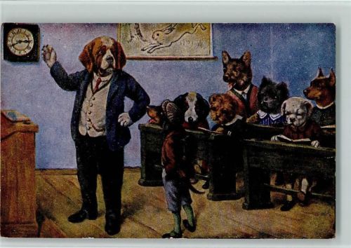 1950 Hundeschule, vermenschlichte Tiere AK