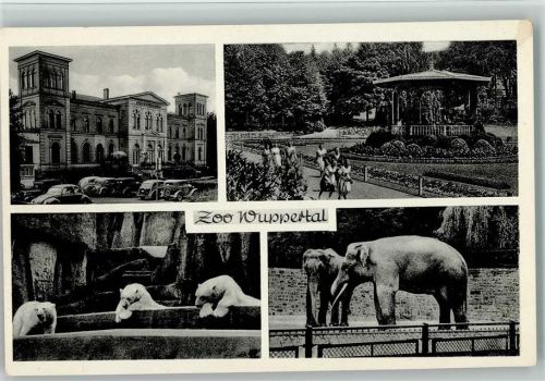 Zoo Wuppertal - Eisbären, Hauptportal, Pavillion ca 1955 AK