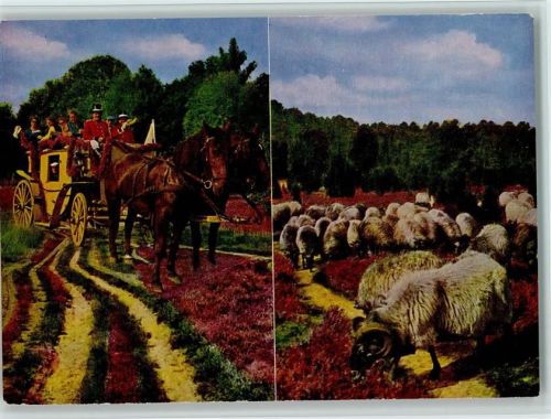 Hanstedt Lüneburger Heide - histor. Kutsche 1970 AK