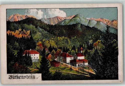 Birkenstein