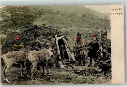 Tromsoe 1905 Fjeldlapper Rentier