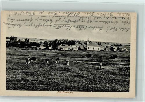 36399 W6494 Nieder-Moos - Teilansicht Kühe