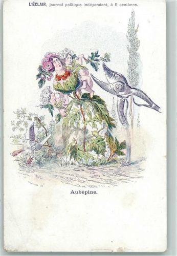 1898 sign. Grandville Werbung L`Eclair journal politique indedendant "Aubepine" Blumen vermenschlicht