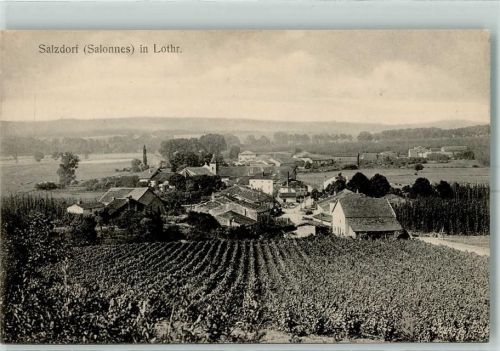 Salonnes 1915 Salzdorf Lothringen AK