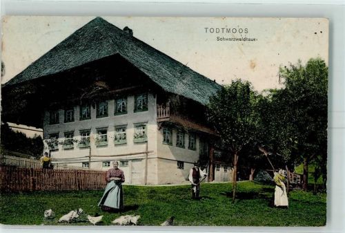 Todtmoos 1909 Schwarzwaldhaus