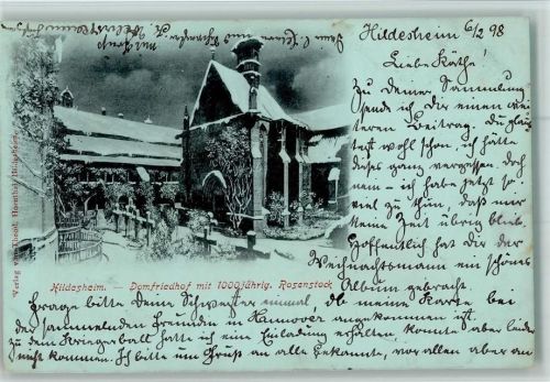 Hildesheim 1898 Domfriedhof mit 1000jähr. Rosenstock Winter
