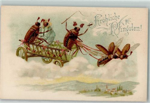 1900 Tiergespann Käfer vermenschlicht Pfingsten AK