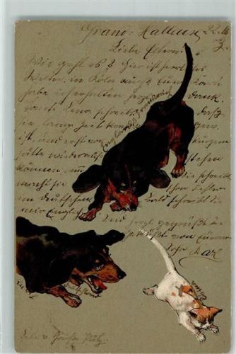 1903 Spiel mit der Katze AK
