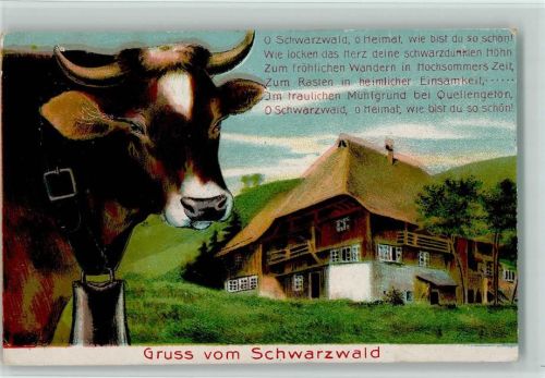 1918 Gruss vom Schwarzwald, Kuh mit Glocke, Bauernhaus, Liedervers