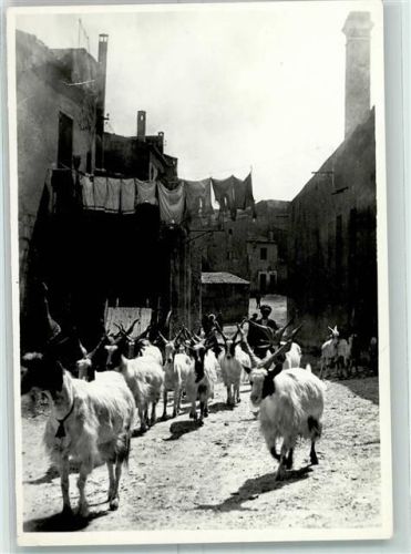 Taormina Ziegen Ort lt. Fotograf