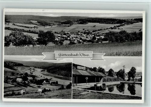 Güttersbach 1955 Schwimmbad und Teilansicht, gute Erhaltung AK