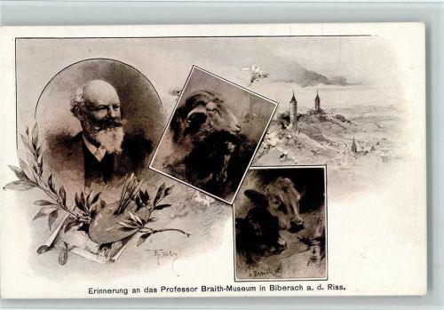Biberach Erinnerung an das Professor Braith Museum , Farbpalette, Künstler Braith, gute Erhaltung AK