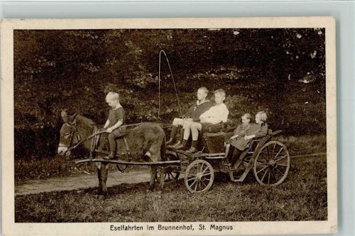 St. Magnus 1925 Eselfahrten Kutsche im Brunnenhof AK